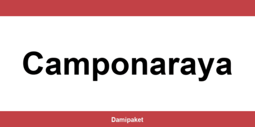 Contacte por teléfono a DHL en Camponaraya