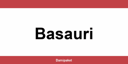 Contacte por teléfono a DHL en Basauri